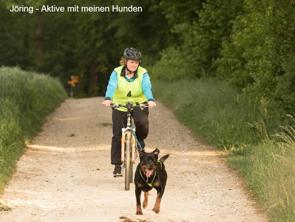 Hunde sind meine Leidenschaft